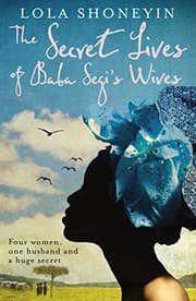 The Secret Lives of Baba Segi's Wives cover