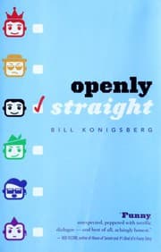 Openly Straight cover