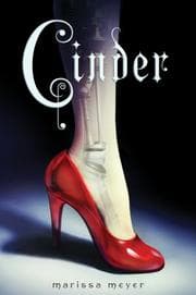 Cinder cover