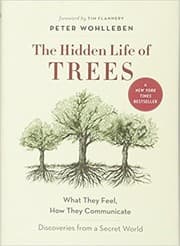 The Hidden Life of Trees cover