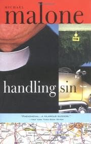 Handling Sin cover
