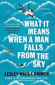 What It Means When a Man Falls from the Sky cover
