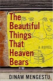 The Beautiful Things That Heaven Bears cover