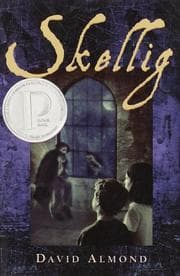 Skellig cover