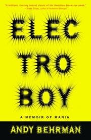Electroboy: A Memoir of Mania cover