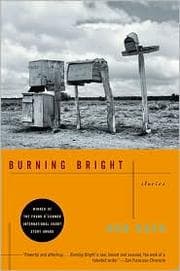 Burning Bright cover