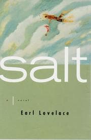 Salt cover